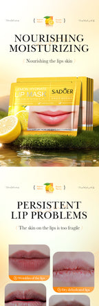 f85469dd-9980-4e2c-88e6-6f5058b28dab