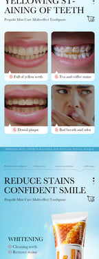 1d1fc478-d569-4797-9cc4-f0951999b32a