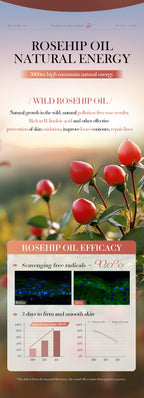 0897afe3-595c-4ab2-abc1-801cc4376c7c