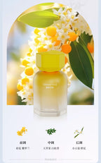 18f167c8-3baf-427e-a3cf-753540c48095