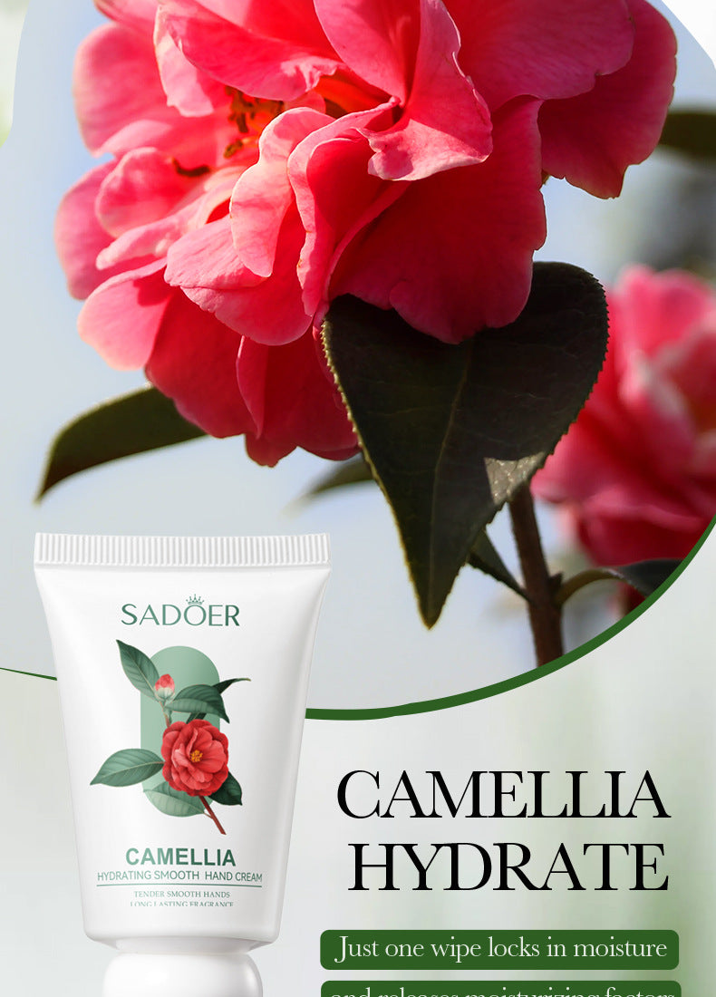 12091341-700b-4f1c-af9b-9a64a0c281bf