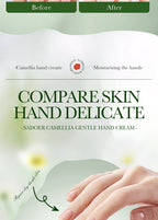 e4b240e6-04c4-4c0f-b377-b9a58cc897b4