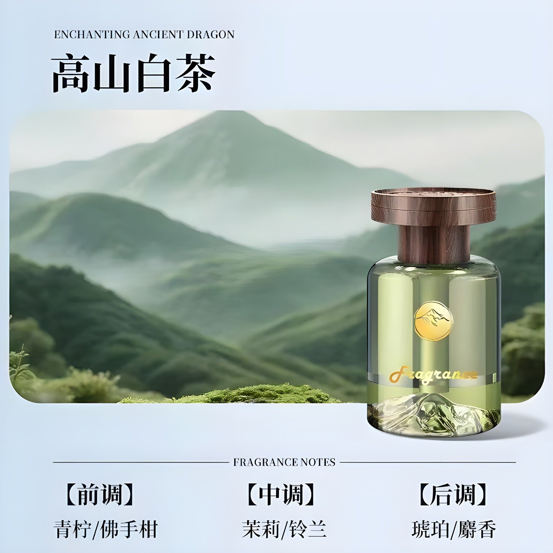 98001307-df96-47e8-82f2-a3657c03b05e