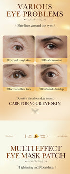 51c50000-51df-4ebc-9c66-dc9c8aa9f2dd