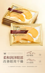 880336a9-ef50-489d-868f-ef88ff3a6fd1