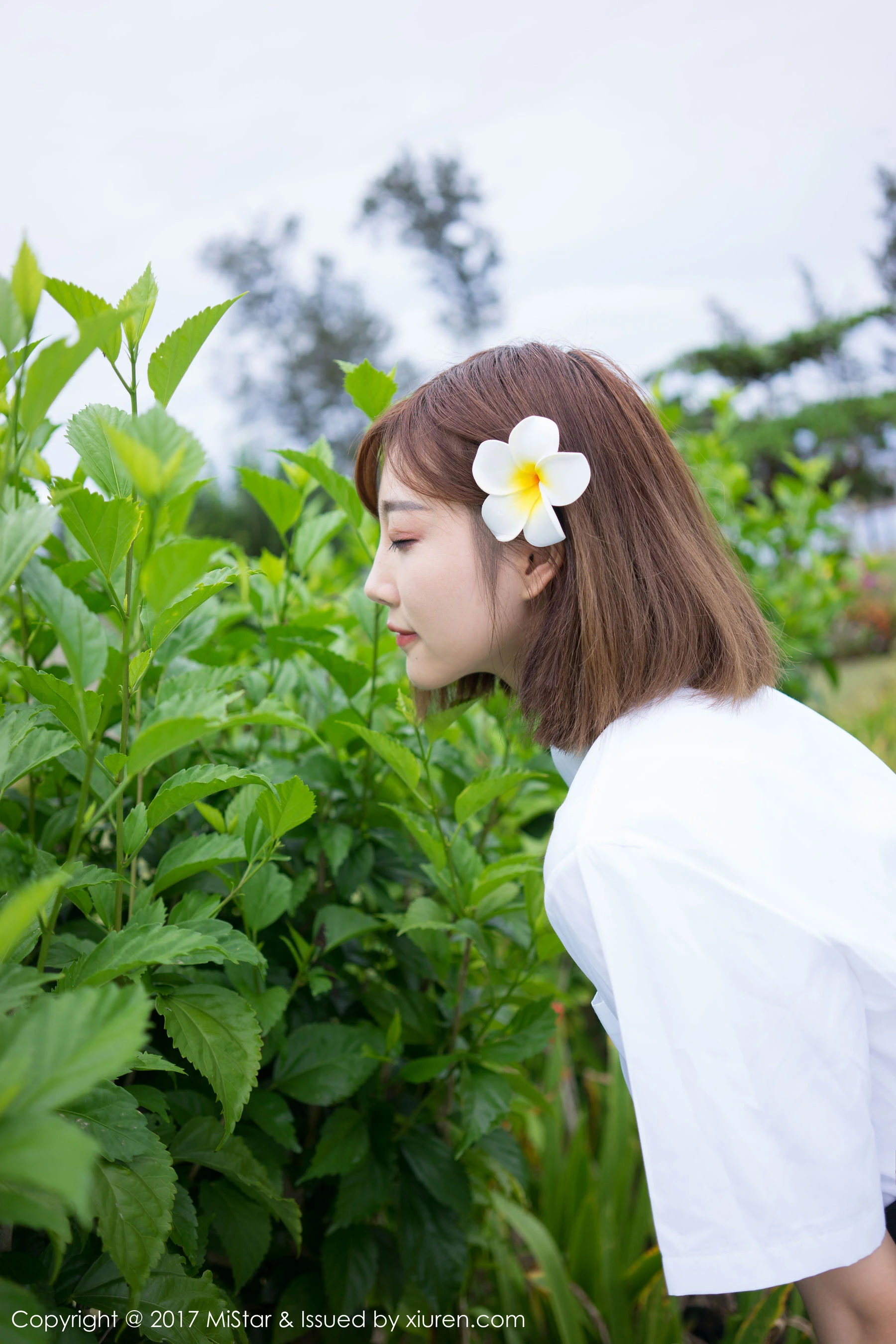 傍晚台北網紅寫真精選 - 清純寫真館神秘完美融合限量 - 48