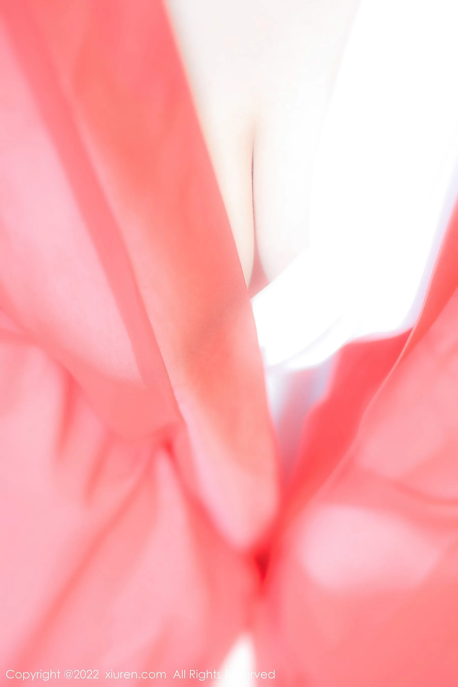DJ活潑寫真館寫真 – 櫻花季自信風格展現珍藏 - 6