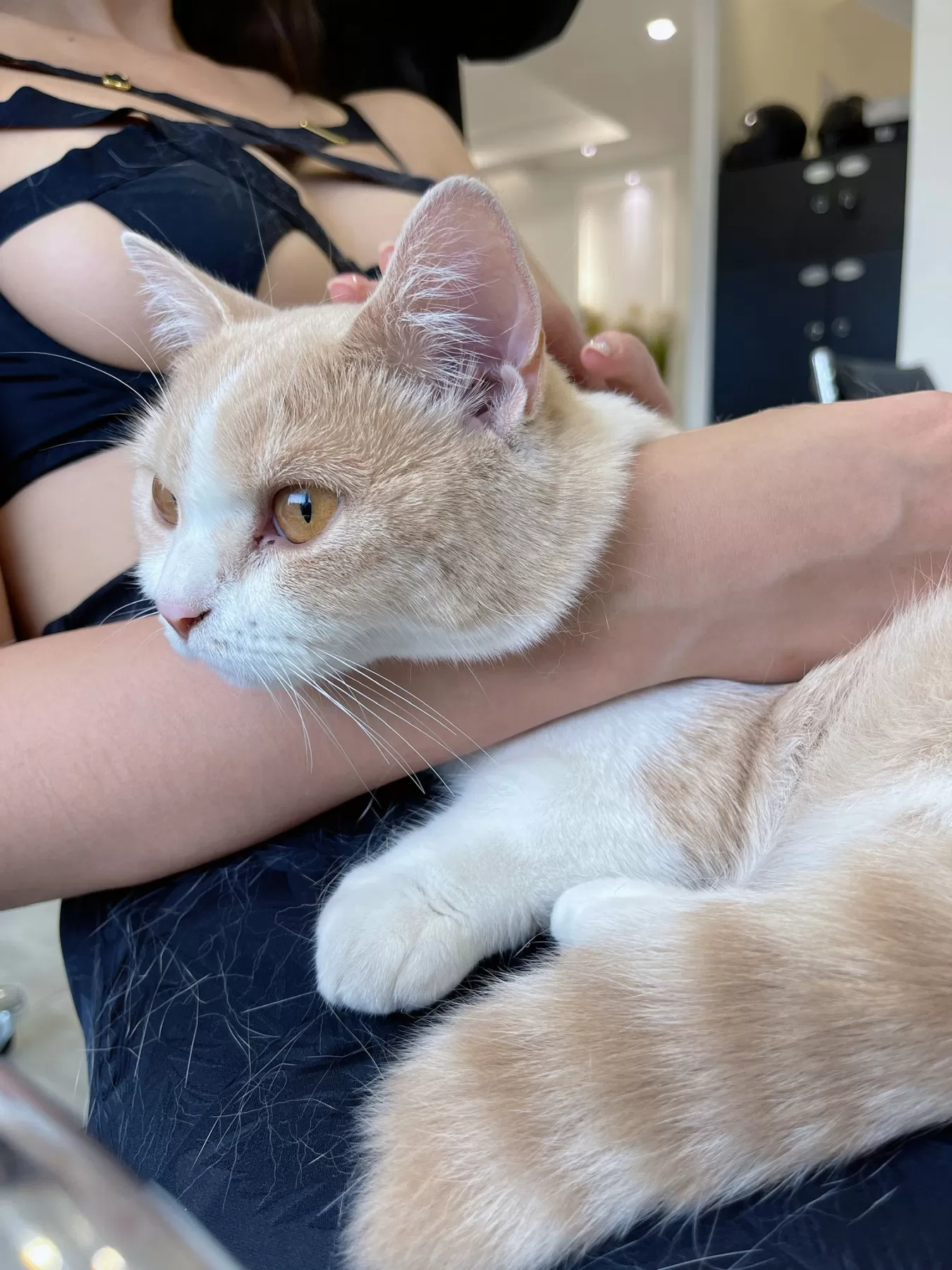 579008 22