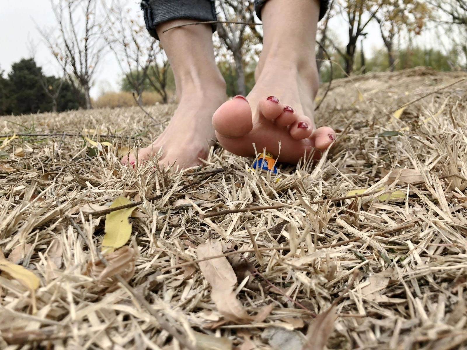 知性舞者私藏美照 – 新竹山景夜晚獨家呈現珍藏 - 111