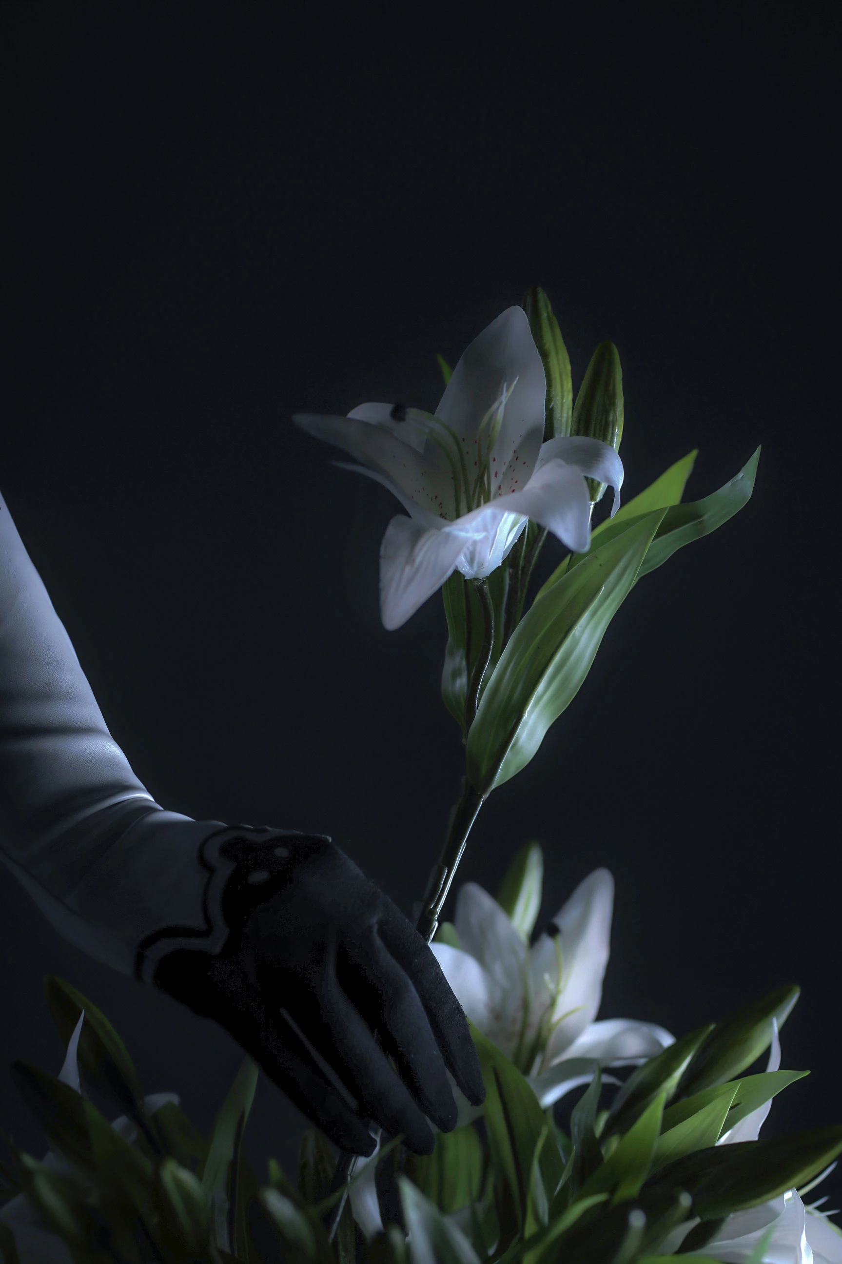 [Cosplay]吳雨菲大片圖集精選：吳雨菲甜美魅力於室內凸顯蜂腰曲線首發攝影 - 6